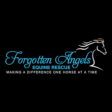 Forgotten Angels Equine Rescue